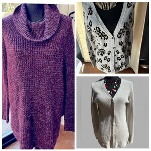 Women’s Sweater Bundle Size M Free People + Leopard & Neutral Knits (3 pcs)